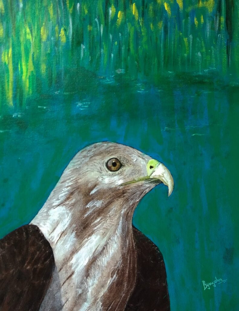 Water Eagle